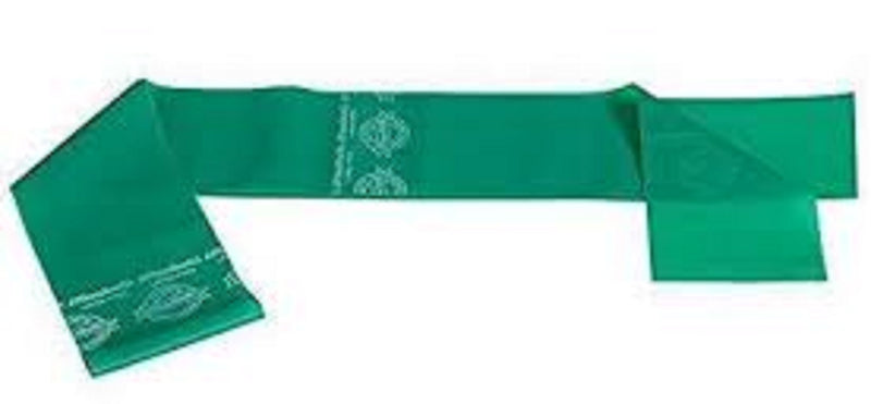 TheraBand Professional Pre-Cut Non-Latex Resistance Bands