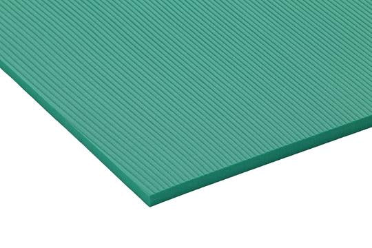 Airex Atlas Exercise Mat